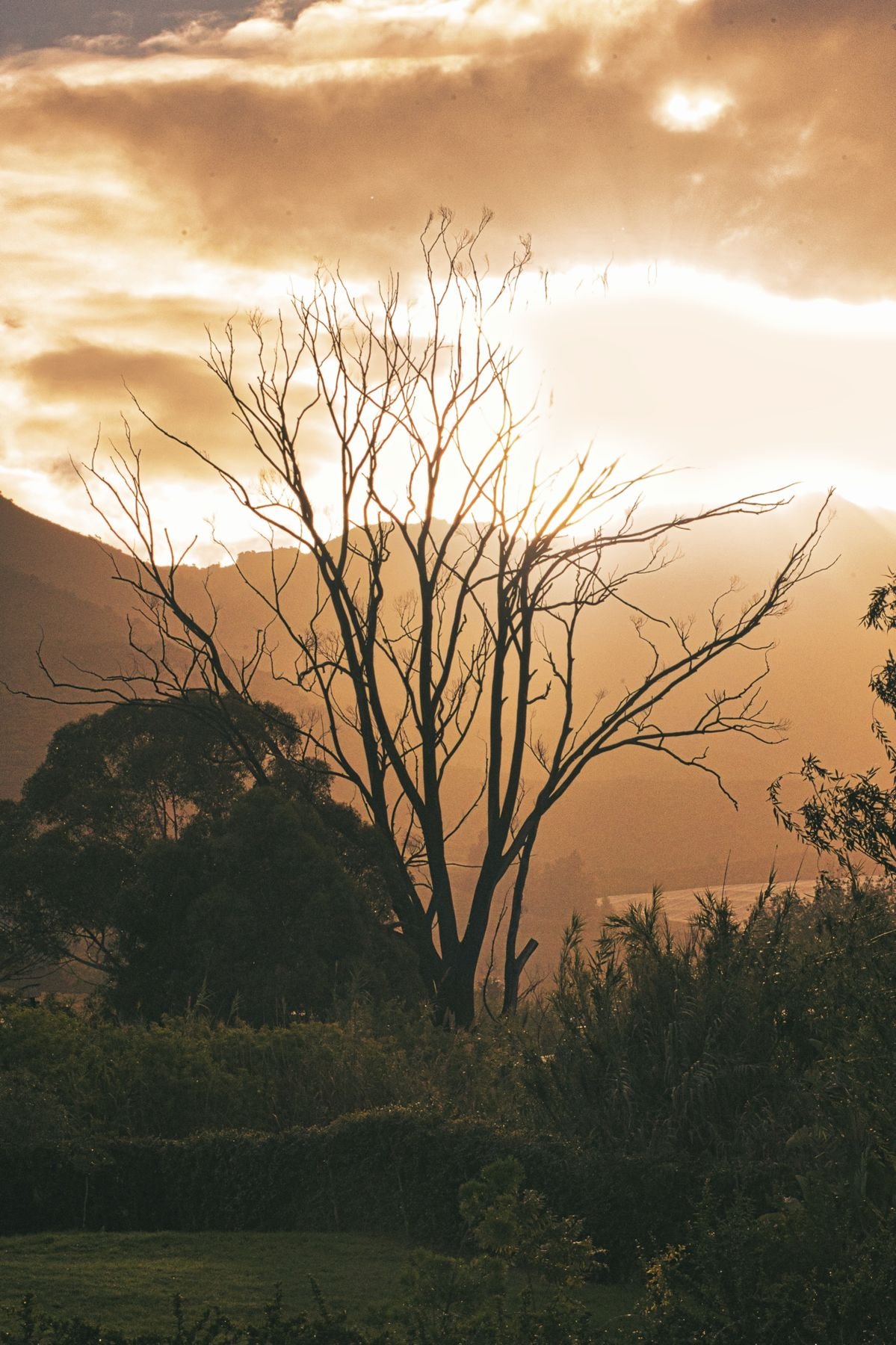 The Riebeek Valley near Riebeek Kasteel 17