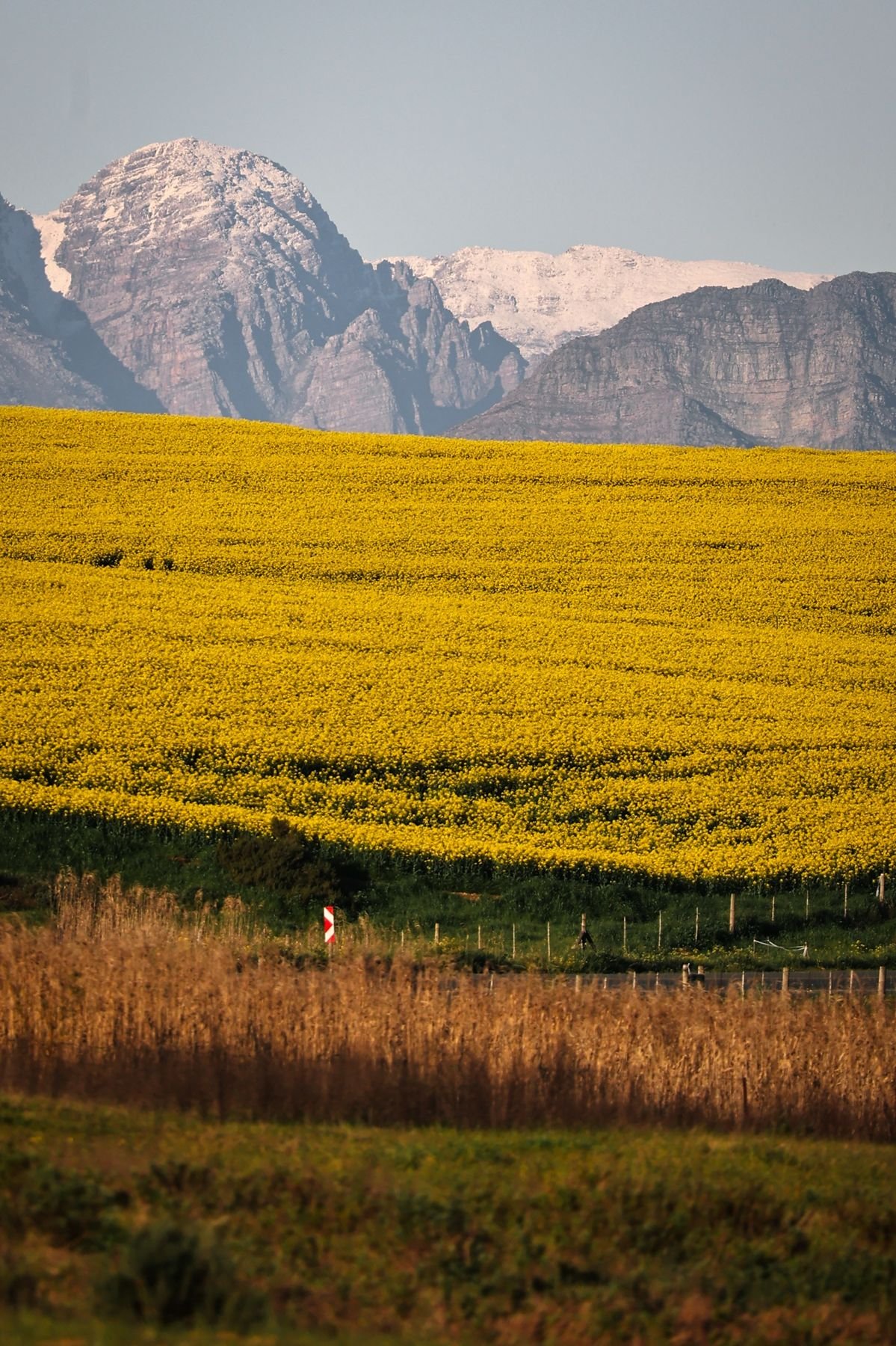 Die Riebeekvallei by Riebeek-Kasteel