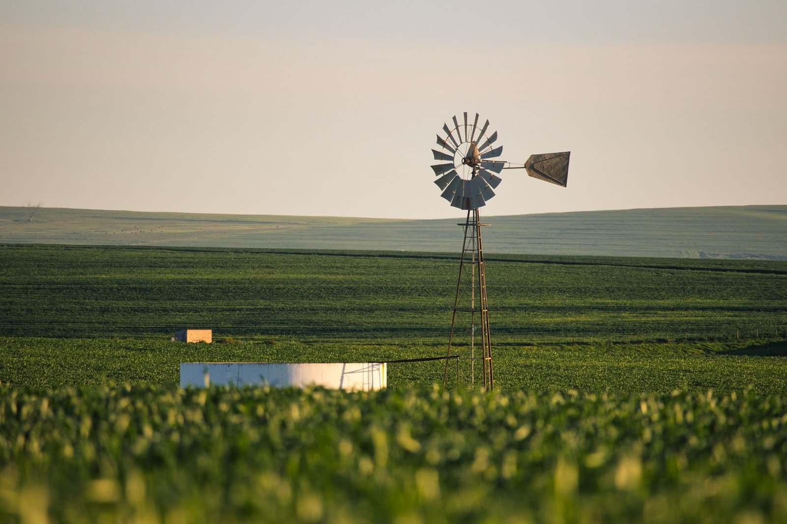 Die Riebeekvallei by Riebeek-Kasteel